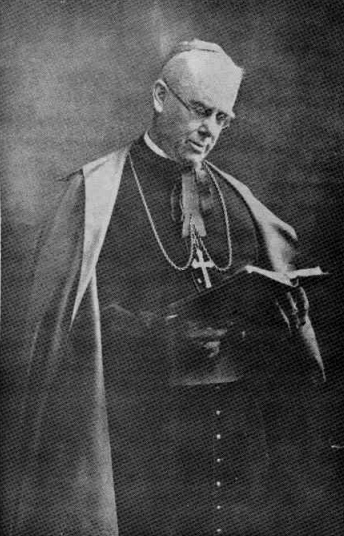 Bishop Patrick T. Ryan – Diocese of Pembroke